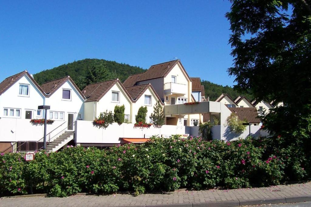 Helle 93M2 Fewo Mit 2 Schlafzimmern Am Edersee Scheid  Экстерьер фото